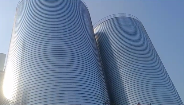 泰山2座混凝土高架卷板仓