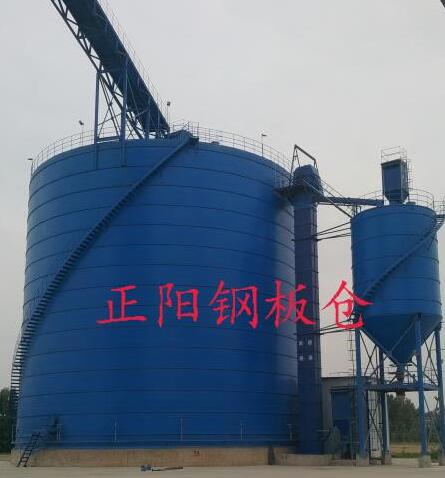 泰山大型矿粉钢板库